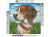 Haft Diamentowy, Obraz, Mozaika Diamentowa Diamond Painting, PIES BEAGLE 30x30cm - DK
